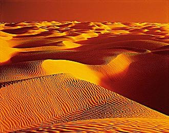 11月1日怪物猎人荒野免费公开测试！怪猎荒野免费下载游玩开启！